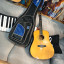 Tanglewood TW15-HB (2009)