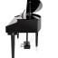 Piano gdp200