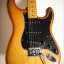 Fender Stratocaster Dan Smith