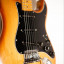 Fender Stratocaster Dan Smith