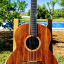 Lowden F50 african blackwood/sinker redwood