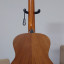 Guitarra Taylor GS Mini Rosewood Electroacústica