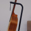 Guitarra Taylor GS Mini Rosewood Electroacústica