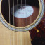 Guitarra Taylor GS Mini Rosewood Electroacústica