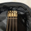 Bajo Washburn Status series 1000