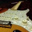 Fender Select Stratocaster Port Orford Cedar