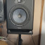 Focal Alpha 80 Evo