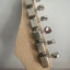 stratocaster partcaster