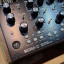 Moog Mother 32