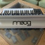 Moog Subsequent 37
