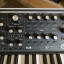 Moog Subsequent 37
