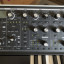 Moog Subsequent 37