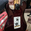 Guitarra Stratocaster REGALO AMPLI -  REBAJA!!