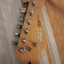O cambio Strat Cort G254
