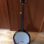 Banjo Fender FB-300
