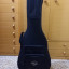 Guitarra alhambra appalachian