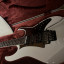 Ibanez Rg 2550 ZWH Team craft-Video dentro sutainer
