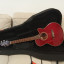 Takamine G Series EG260C WR