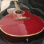 Takamine G Series EG260C WR