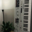 UDO Super 6 White SE