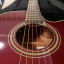 Takamine G Series EG260C WR