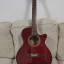 Takamine G Series EG260C WR