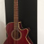 Takamine G Series EG260C WR