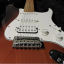 Fender Stratocaster Player