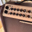 Amplificador Acústico Fishman Loudbox Performer