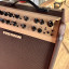 Amplificador Acústico Fishman Loudbox Performer