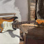 Fender Stratocaster 1966 - 197?