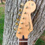 Fender Stratocaster Deluxe Player Saphir Transparent Blue