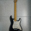 Stratocaster Partcaster