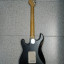 Stratocaster Partcaster