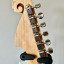 Cole clark culprit III telecaster