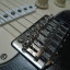 Stratocaster Partcaster