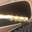 Guitarra Gould Eagle White con Estuche Duro