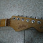 Stratocaster Partcaster