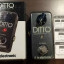 TC Electronic - Ditto Lopper
