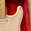 Fender Stratocaster Standard AM