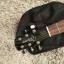 Cambio Guitarra acústica Takamine G Series 321