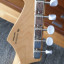 Fender Stratocaster Standard SOFT V Neck (RESERVADO)