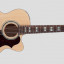 RESERVADA- Guitarra acústica 12 cuerdas Takamine G Series EG523SC-12