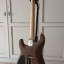 Guitarra Warmoth - Vendo/Cambio (Actualizado)