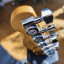 Telecaster Player Plus