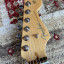 Fender Stratocaster American Professional