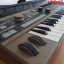 Korg Microkorg con funda