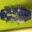 Takamine Gseries special blue