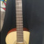 Fender acoustics ESC80