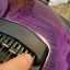 Music Man Majesty Monarchy majestic purple